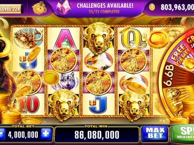 Live Dealer Casino Interface screenshot
